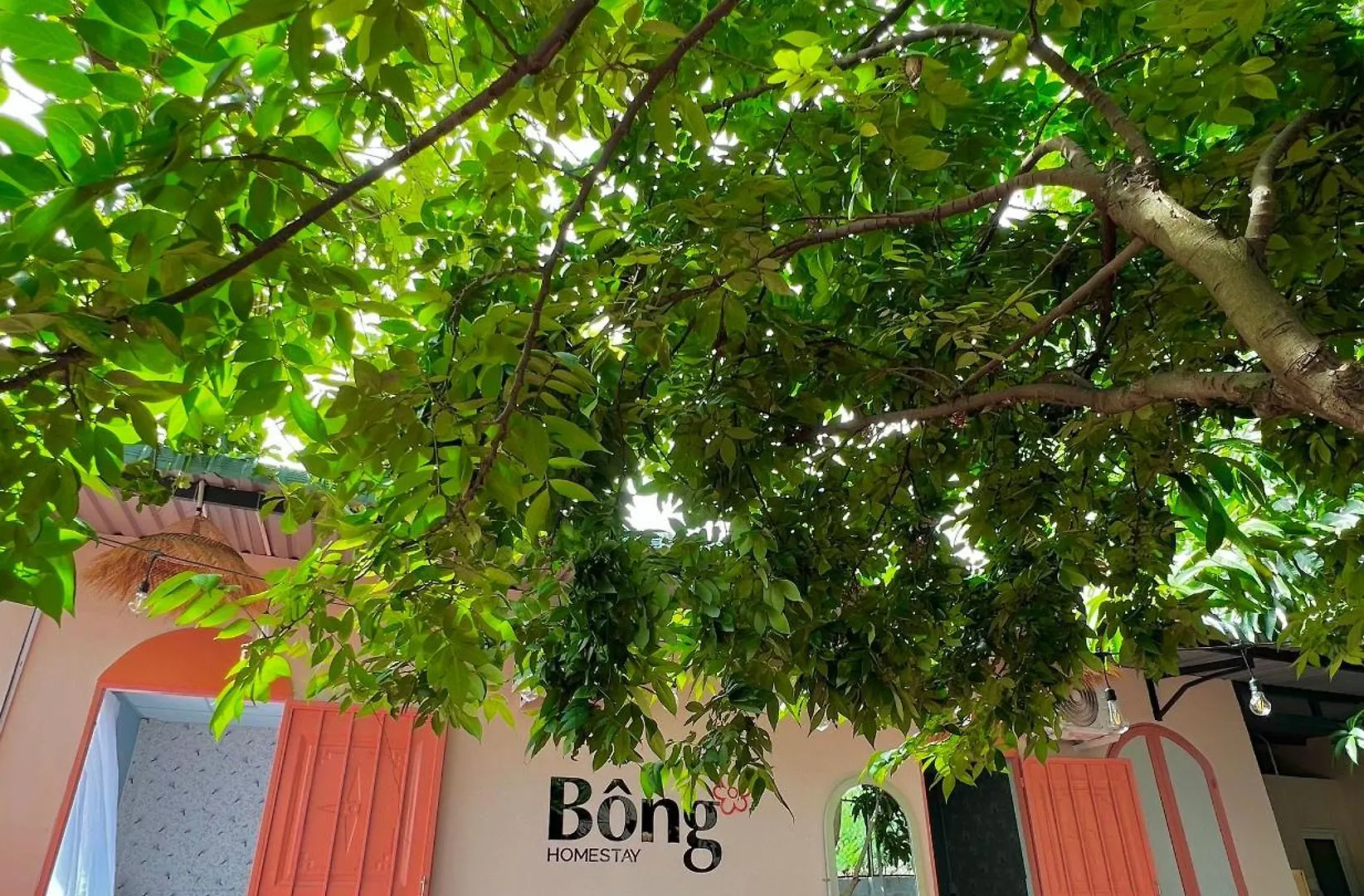 ヴィラ Bong Homestay - Venuestay ファンティエット ベトナム